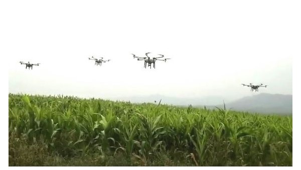 蜜桃视频一区二区蜜桃VA噜噜噜一二三区在农药领域发展